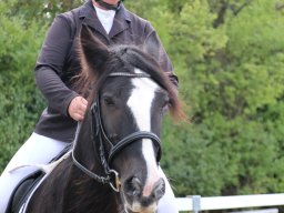 IMG_0898_web